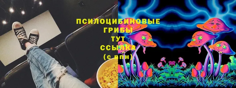 Псилоцибиновые грибы Cubensis  Мензелинск 